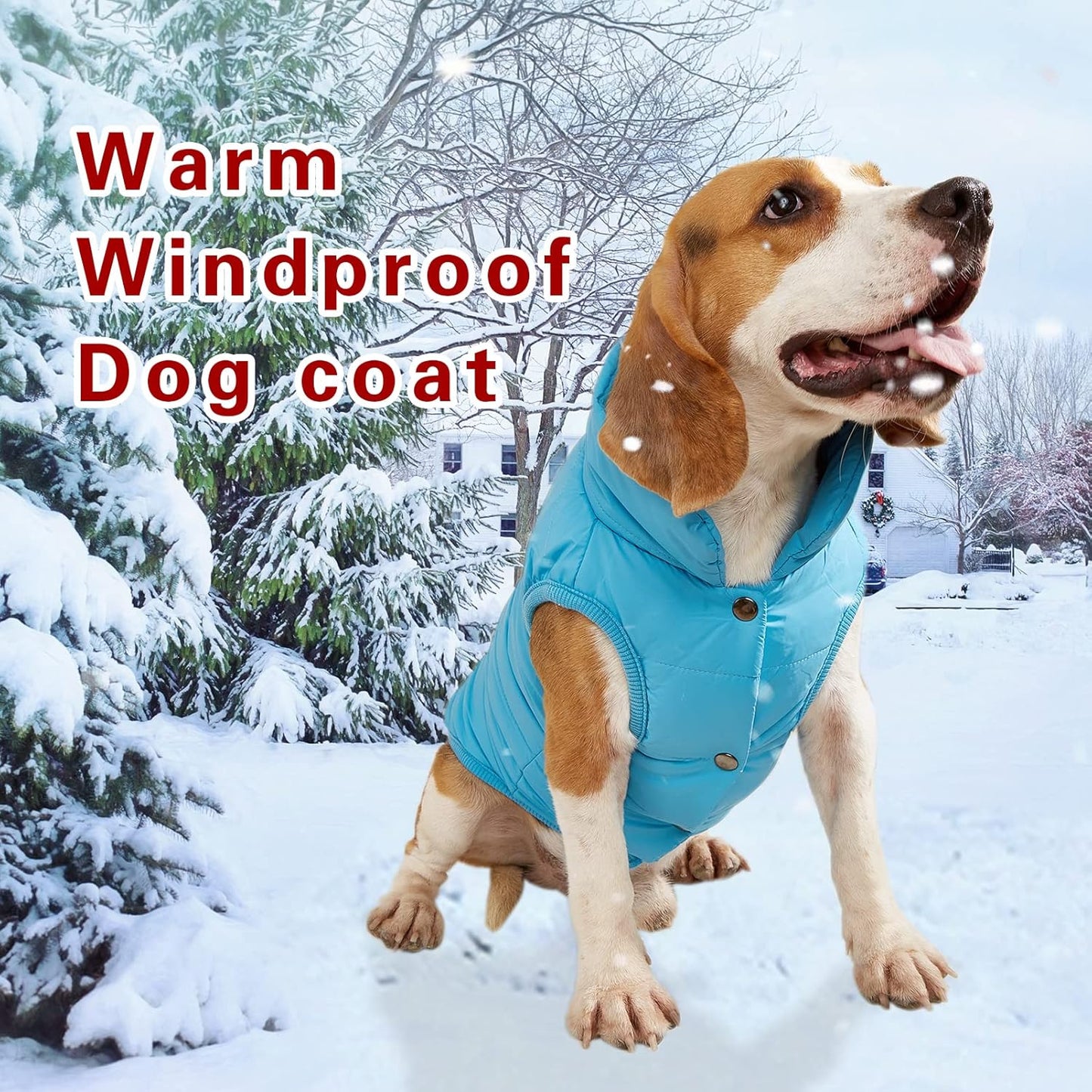 Dog Jacket Puppy Coat: Winter Windproof Dog Coats for Small Medium Large Dog Cold Weather Coats Warm Fleece Lined Doggie Coat Puppy Jacket (Blue, X-Small)