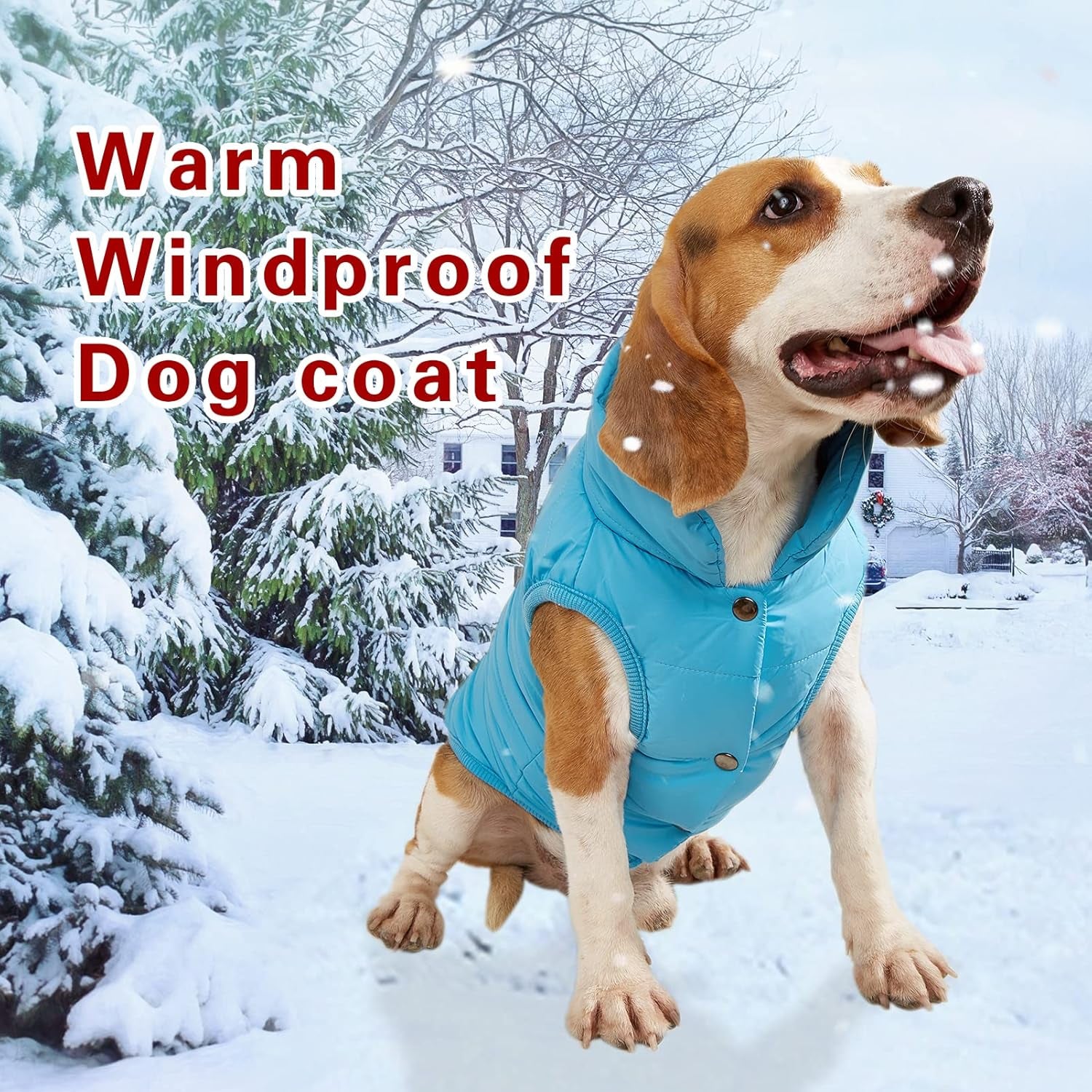 Dog Jacket Puppy Coat: Winter Windproof Dog Coats for Small Medium Large Dog Cold Weather Coats Warm Fleece Lined Doggie Coat Puppy Jacket (Blue, X-Small)